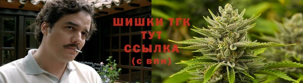 гидропоника Козловка