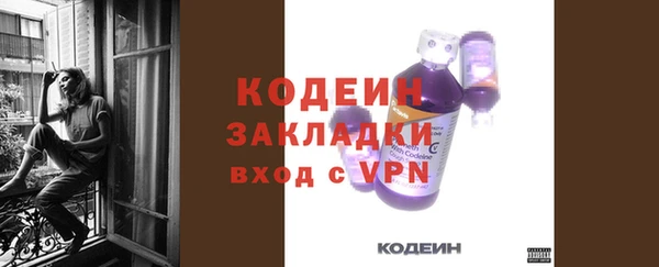 индика Кодинск