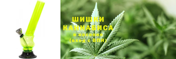 индика Кодинск