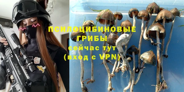 гидропоника Козловка