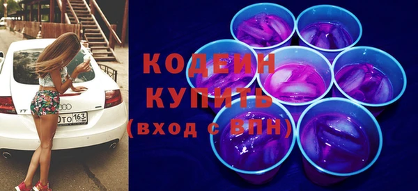 индика Кодинск