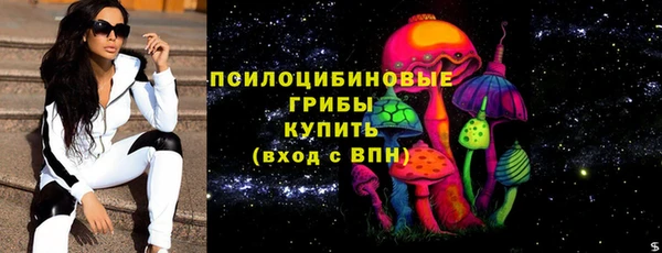 индика Кодинск