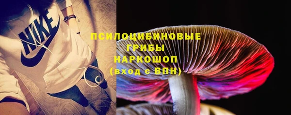 индика Кодинск