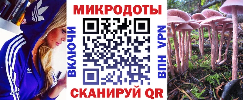 Псилоцибиновые грибы Cubensis  Купить где  Исилькуль 